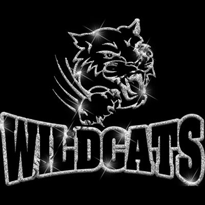 GLT32 SILVER GLITTER Thumbnail